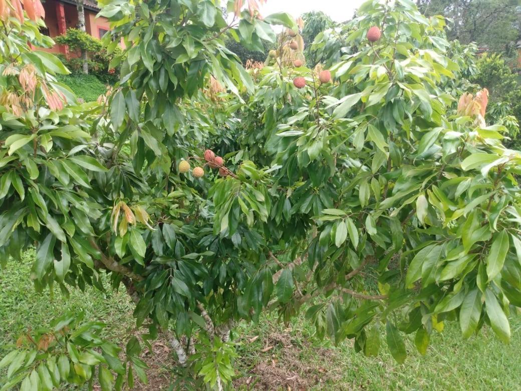 Pousada Recanto Águas Vivas Turvo dos Gois Esterno foto